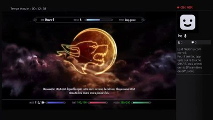 Diffusion PS4 en direct de dx-sword- (9)