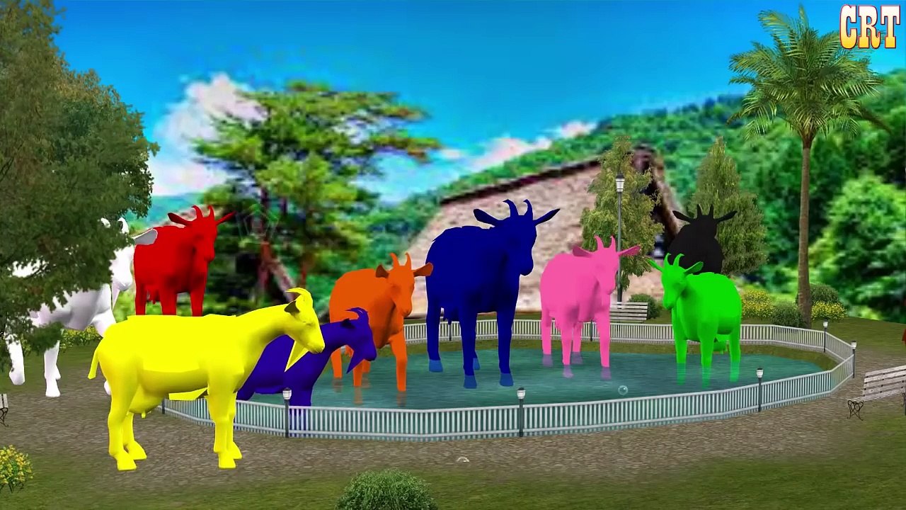 Goat Colourful Colour Song || Learning Nursery Rhymes For Children Rhymes Collection