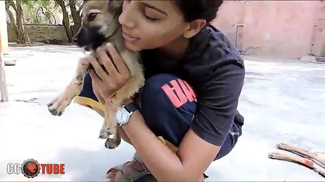 REAL LIFE HEROES 2016 - Faith In Humanity Restored - Try To Watch Without Crying