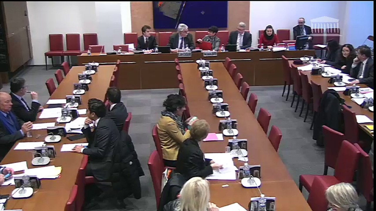 Revalorisation des retraites agricoles : intervention d'A.Chassaigne (rapporteur PCF-FDG) en commission