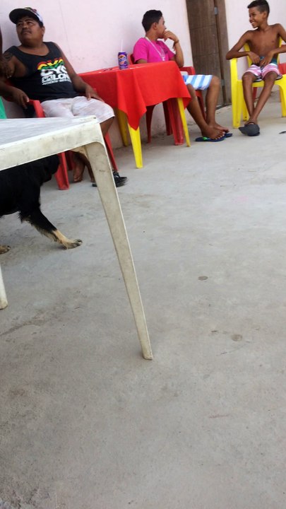 Homem vs cachorro
