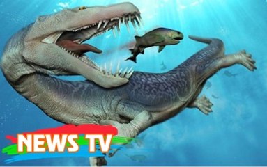 Top 10 quái vật tiền sử gây kinh hoàng biển cả