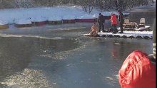 Brave Man Rescues Dog from Frozen Pond