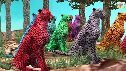 Tiger Colourful Colour Song || Children Rhymes For Nursery Rhymes Collection