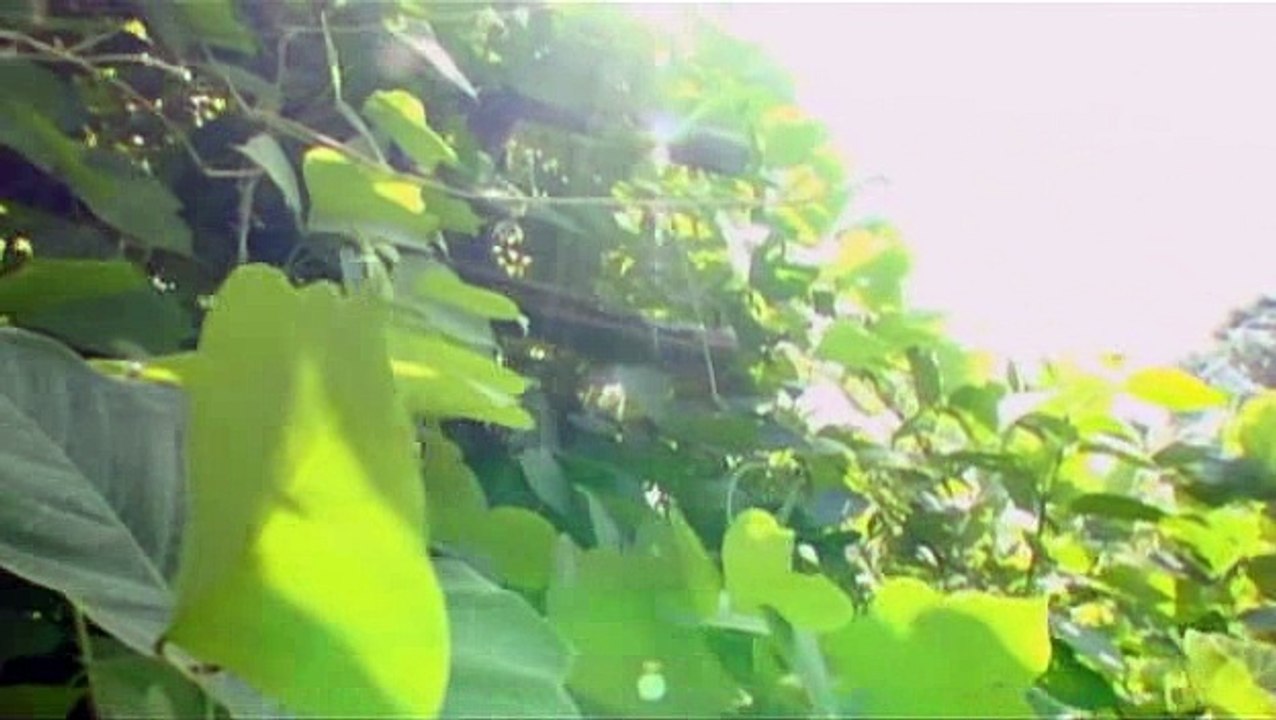 Élet Az Emberek Után S01e02