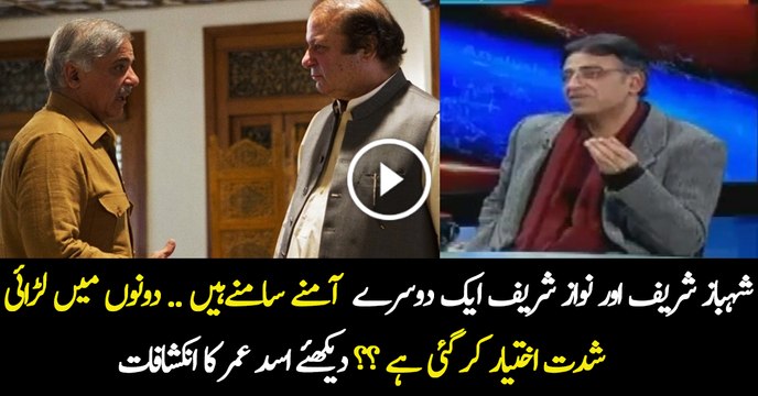 Fight Between Shahbaz Sharif & Nawaz Sharif Asad Umar Analysis
