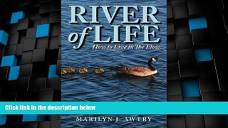 Big Deals  River of Life: How to Live in The Flow  Full Read Best Seller