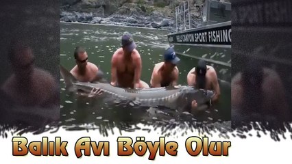 Balık Avı Böyle Olur