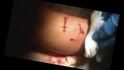 Can't Believe Animals That Saved People's Lives - A- omazing uTube