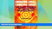 Big Deals  Choosing Small, Choosing Smart: Job Search Strategies for Lawyers in the Small Firm
