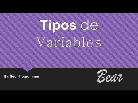 Tipos de variable// Principios basicos de programacion