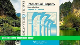 READ NOW  Examples   Explanations: Intellectual Property, Fourth Edition  Premium Ebooks Online