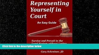 Big Deals  Representing Yourself in Court: Survive and Prevail in the Legal System without Losing
