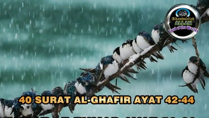 Allah ke siwa jin ko bhi tum pukaar te ho woh na Diniya me pukar ne layak hai na akhirat me QURAN