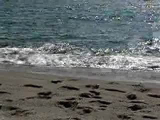 Régates entre SAINT-CYPRIEN et CANET PLAGE