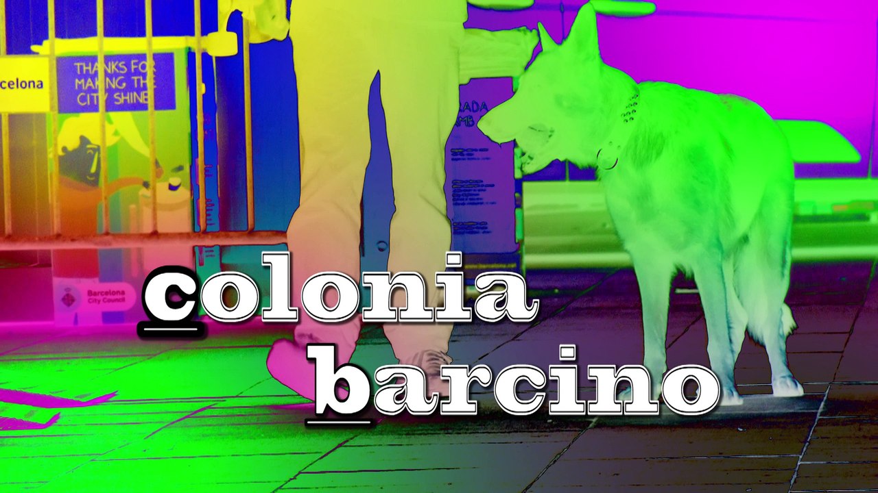 Merce - cccb berta sonora(COLONIA B ARCIN 0)