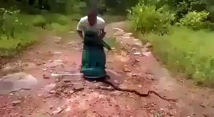 Shocking Video Thousand Snakes And One Man Hit snaks