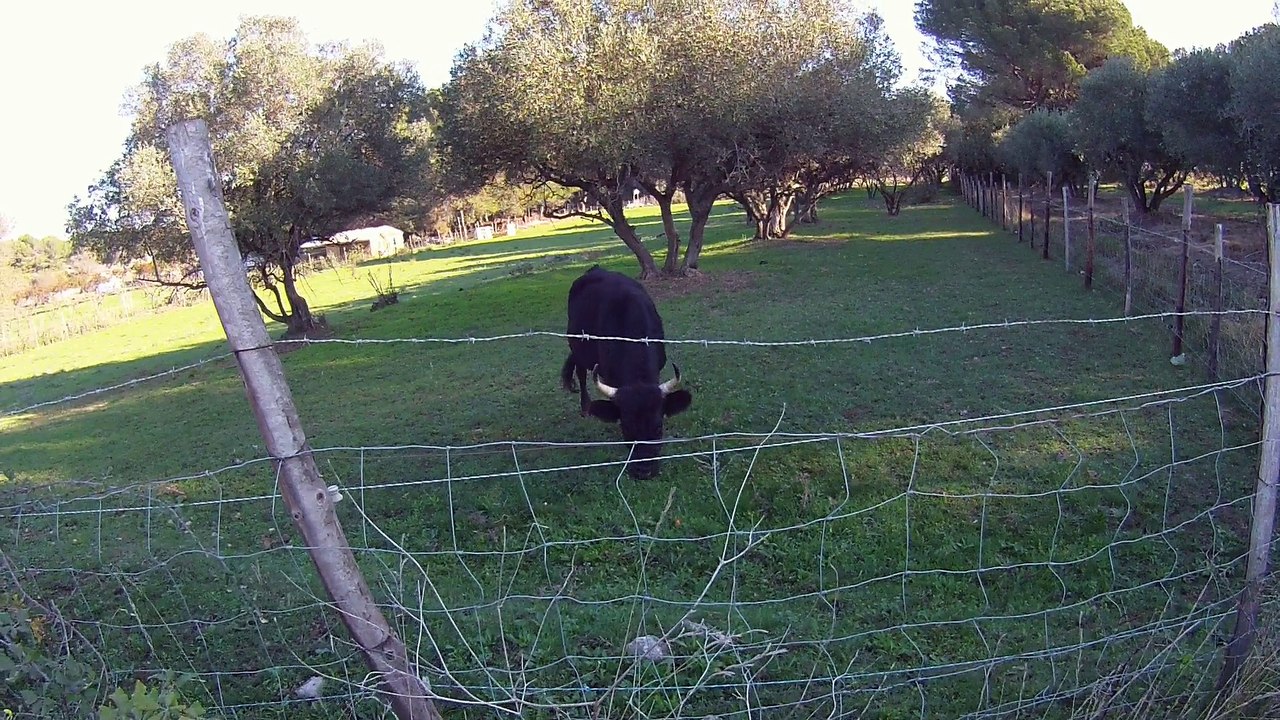 biou à la retraiteretraite