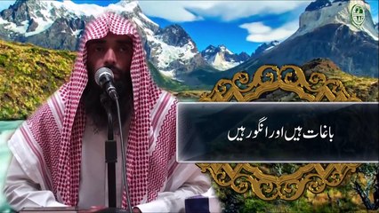 Tilawat Surah An Naba 31 40   Qari Abdul Rahman Muhammadi