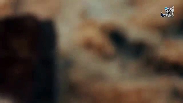 «Абрамсы» горят, как спички. ИГИЛ уничтожает американские танки