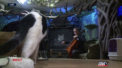 What a Purr-Formance ! Cellist creates music album for cats