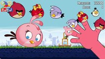 Finger Family Angry Birds Nursery Song and Children 2D Animation Rhymes