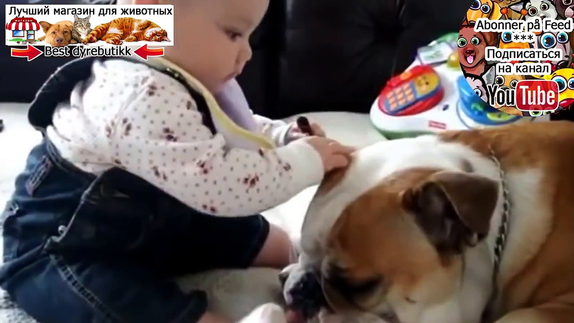 Kids Funny Video ★ Funny Videos Of Kids ★