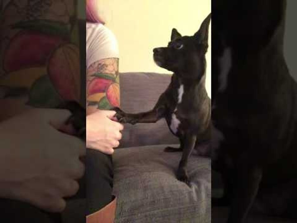 When You're Not Getting Enough Attention