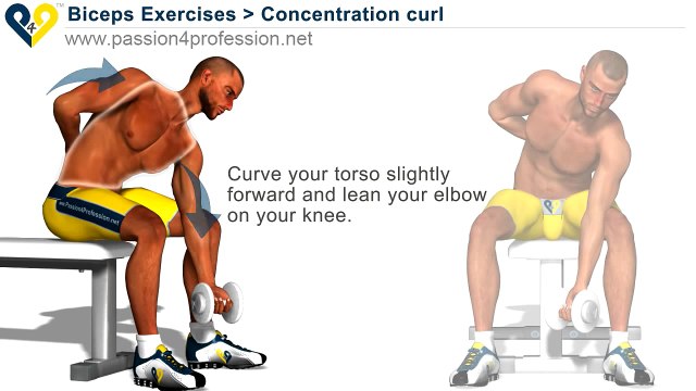 Bodybuilding Exercises - Free Weights