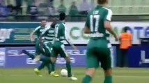 Mubarak Wakaso Goal - Panathinaikos 2 0 Iraklis 30-10-2016 HD