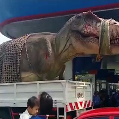 shocking creature at this land