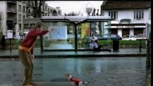 ball hund lustig fun witzig funy