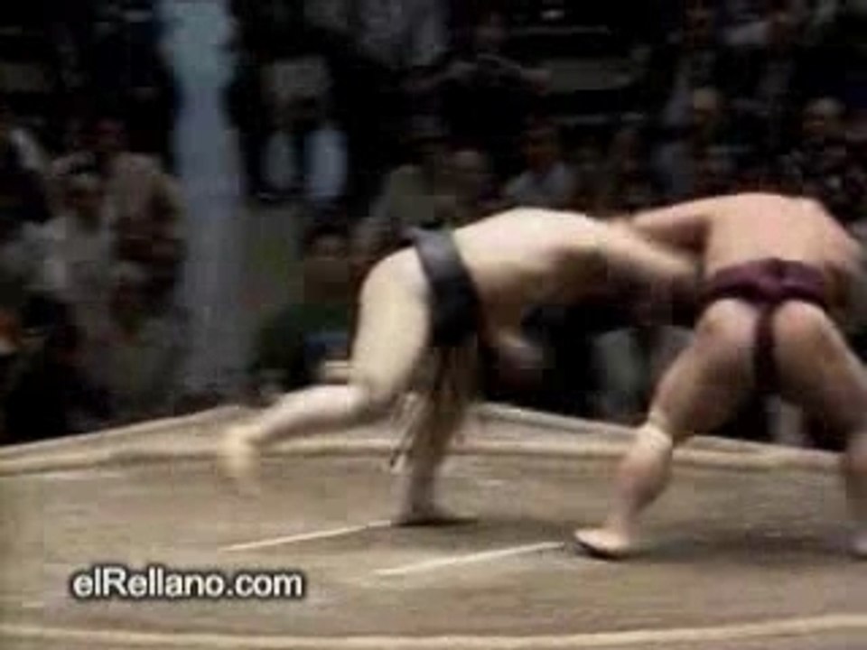 Sumo_Fight