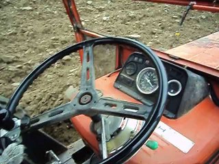 эволюция.....