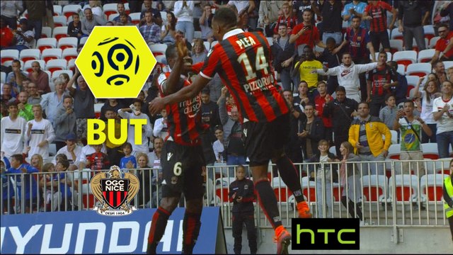 But Alassane PLEA (60ème) / OGC Nice - FC Nantes - (4-1) - (OGCN-FCN) / 2016-17