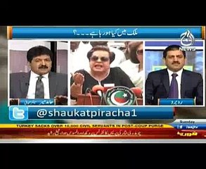 Is Nawaz Sharif Going Hamid Mir Response