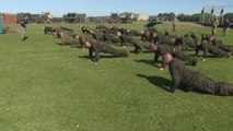 U.S. Marines get a Taste of British Training