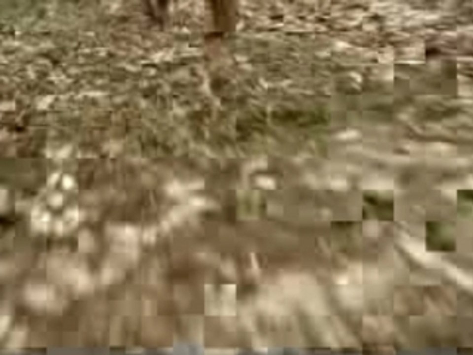 Axe Plus Ten Mets La Plage Pub