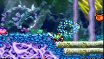 Kirby: Nightmare in Dreamland Bonus Vid 1 - Widescreen Test