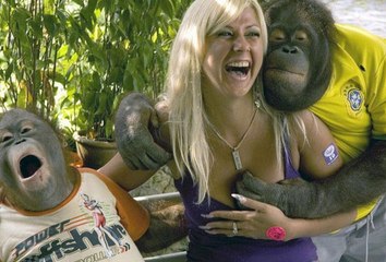 Funny Videos | Viral  Funny Videos | Don't Miss This video