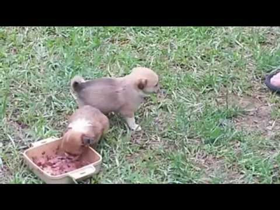 The Surprise Part 1!