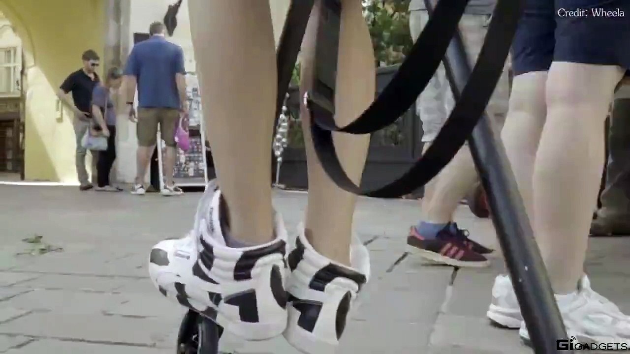 Best Scooter Roller