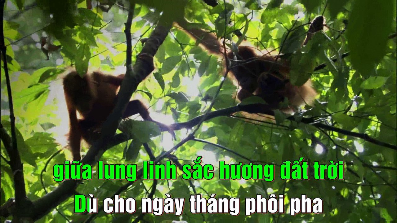 40108 Tham Yeu - Kenh 24