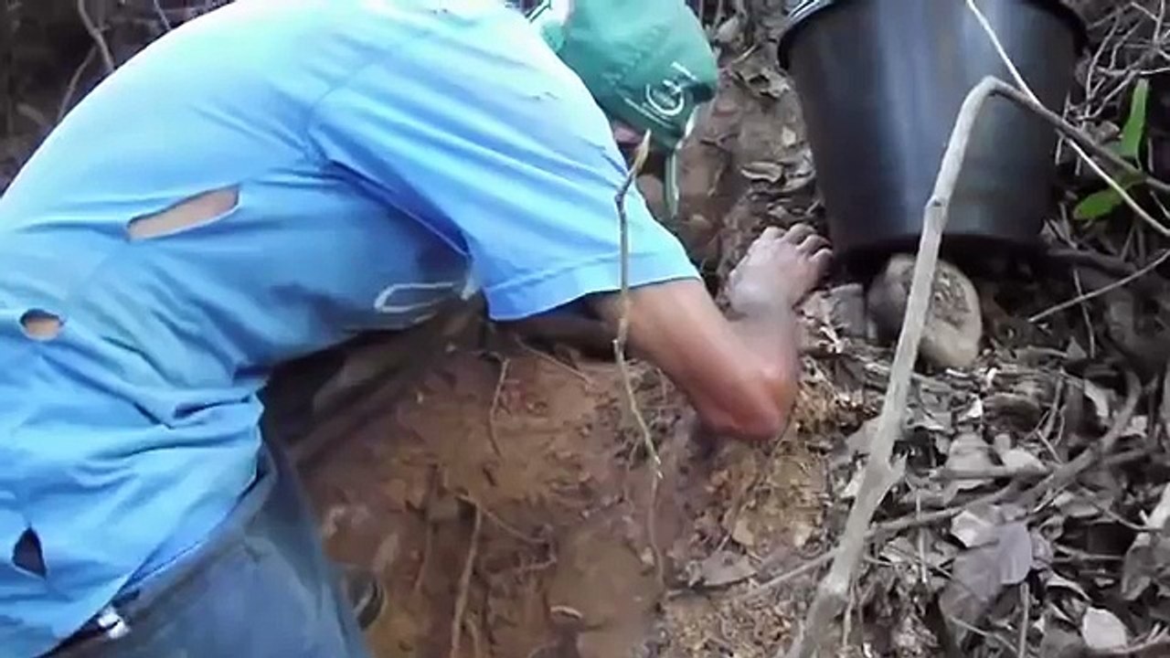 Mọi người sốc khi thấy con vật mà người đàn ông cầm cuốc đào dưới hố lên