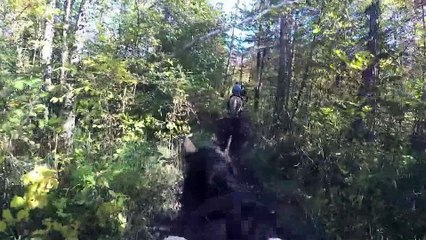 Balade à cheval l'anse saint jean