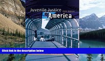 Big Deals  Juvenile Justice in America Value Package (includes Voices in the Juvenile Justice