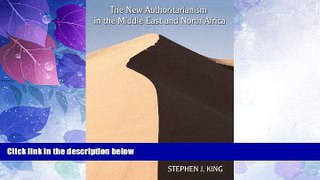 Big Deals  The New Authoritarianism in the Middle East and North Africa (Indiana Series in Middle