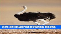 [BOOK] PDF The Ostrich Journal: 150 page lined notebook/diary Collection BEST SELLER