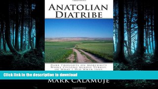 READ BOOK  Anatolian Diatribe: Dark Thoughts on Modernity While Cycling Across Turkey, or What I
