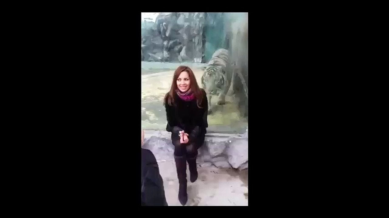 excited loin